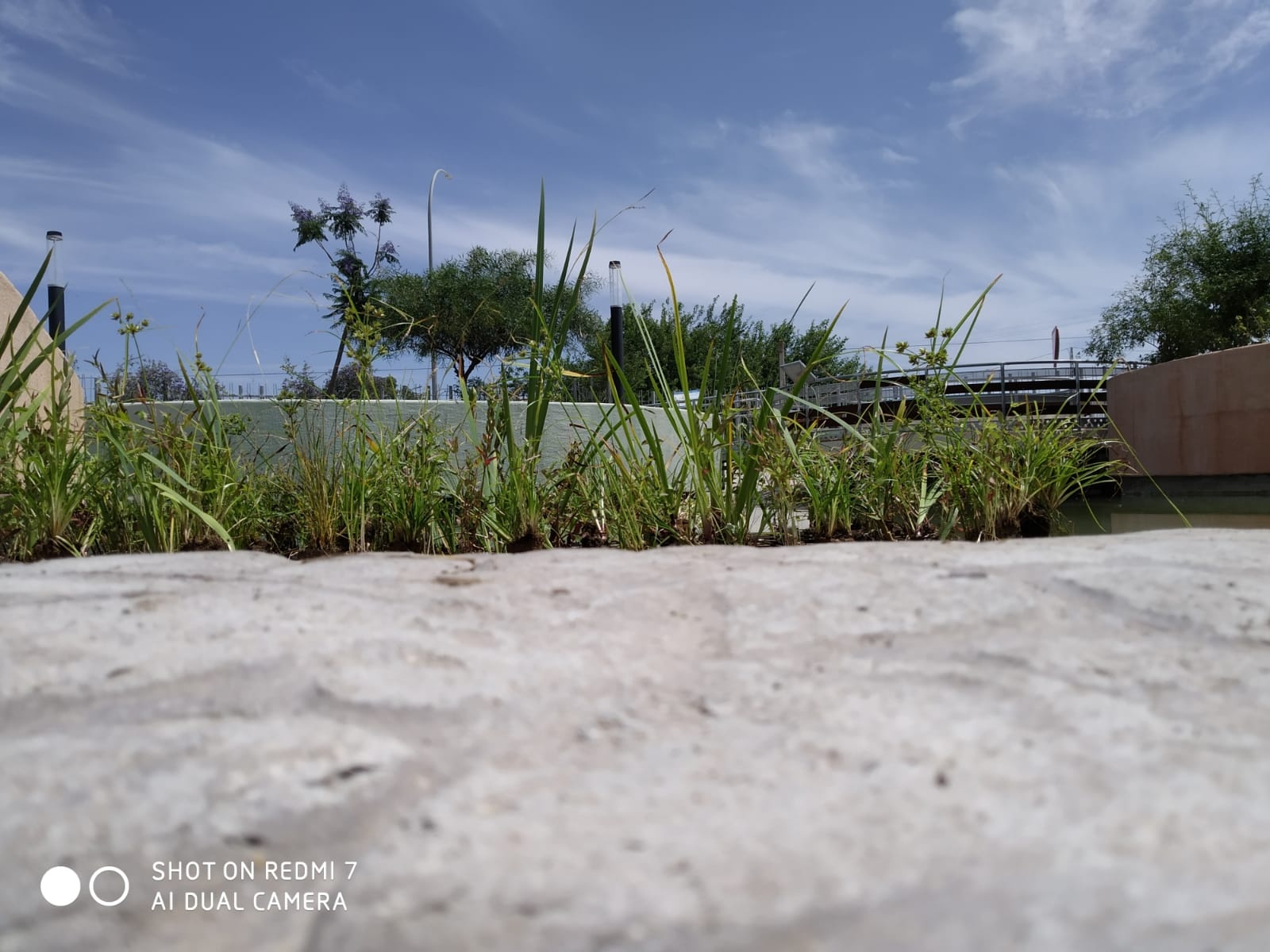 WhatsApp Image 2020-06-10 at 13.23.58