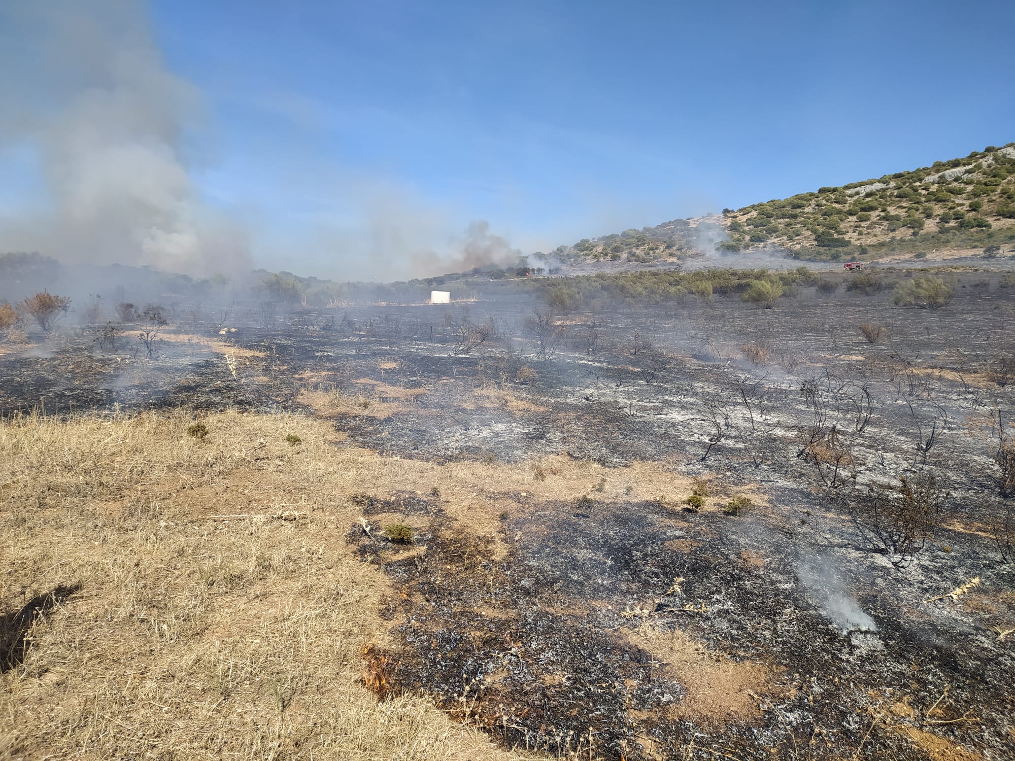 WhatsApp Image 2020-10-18 at 15.34.49