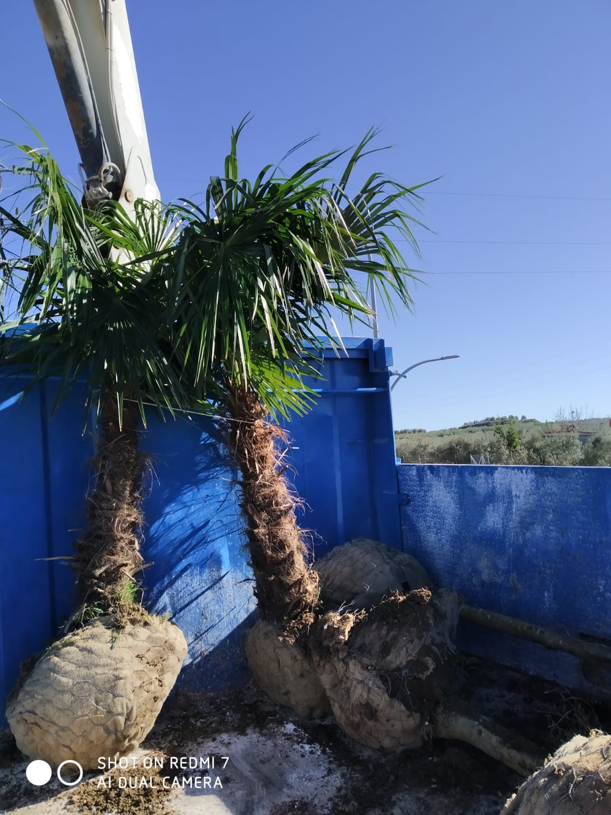 WhatsApp Image 2020-12-22 at 14.26.09 (1)