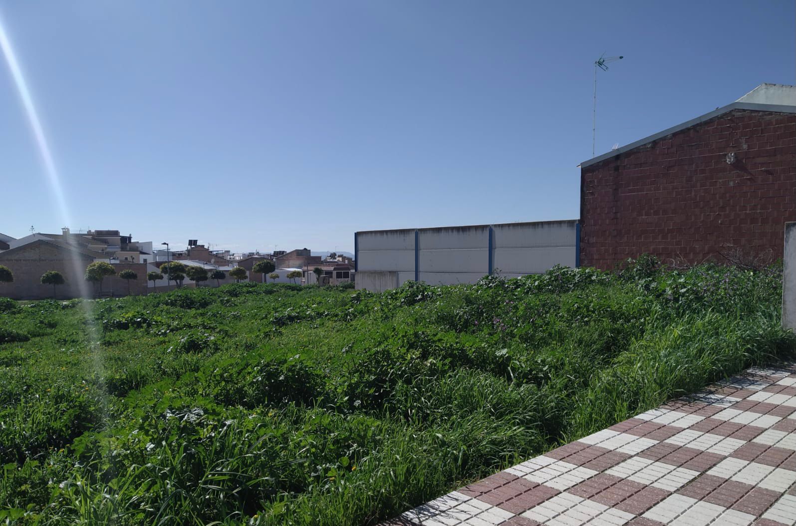 WhatsApp Image 2021-02-24 at 08.51.55