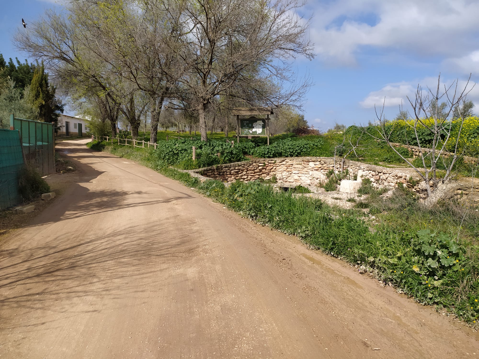 WhatsApp Image 2021-03-09 at 12.07.18 (1)