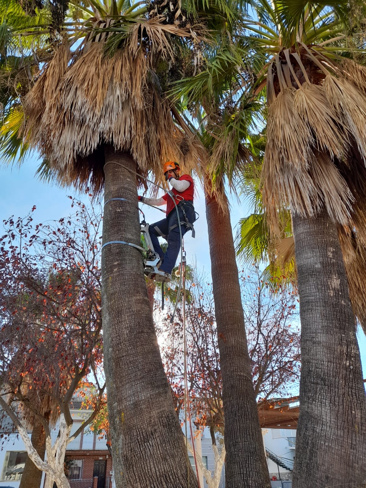 WhatsApp Image 2021-10-20 at 10.22.03 (2)