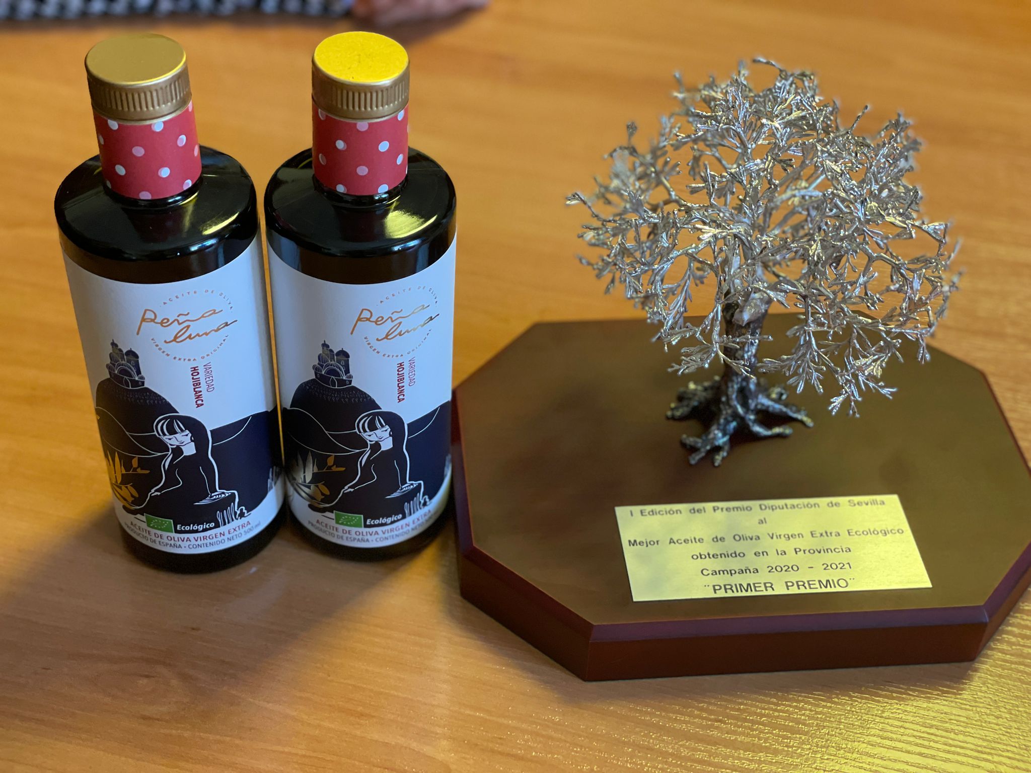 WhatsApp Image 2021-10-20 at 11.36.26