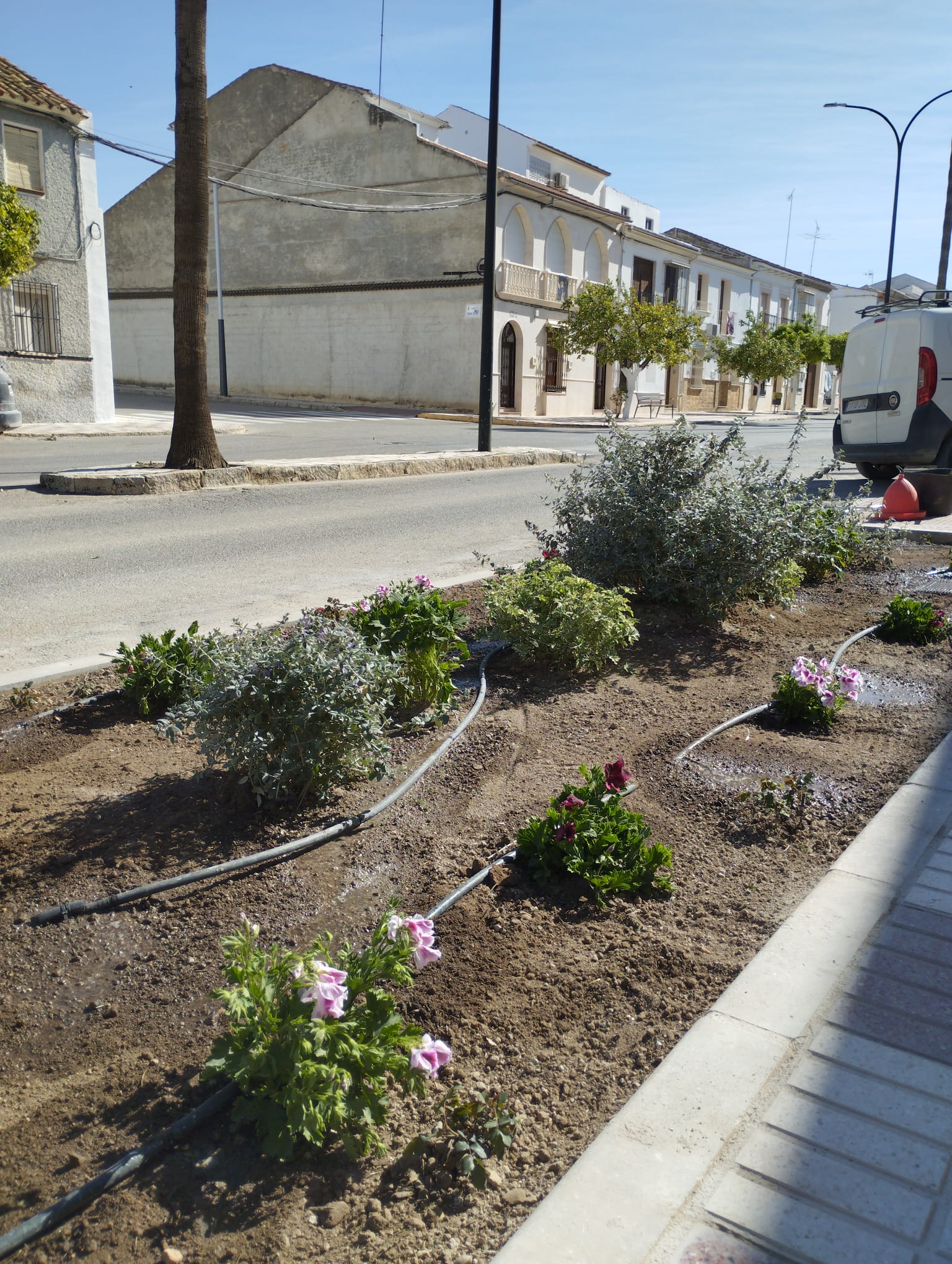 WhatsApp Image 2023-03-29 at 15.24.27 (1)