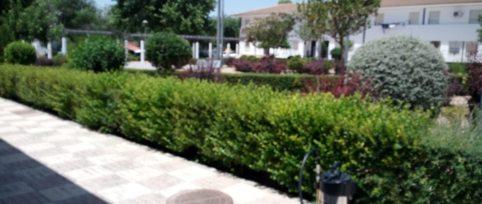 WhatsApp Image 2023-06-29 at 09.44.36 (1)