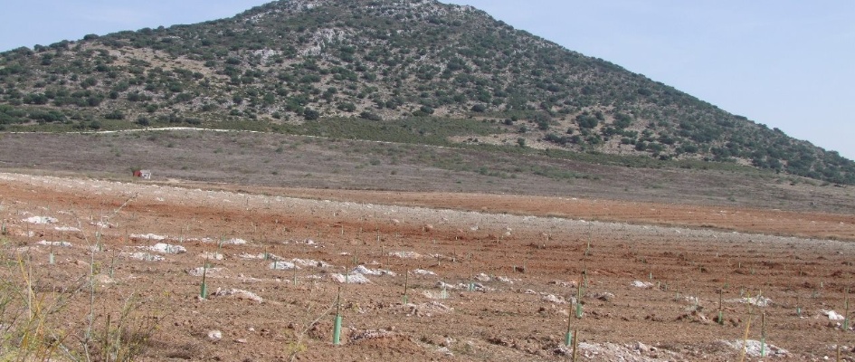 462845707_8459125210874703_3150698045413026975_n