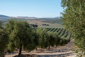 668782697_10237669845158155_4811722460251950712_n