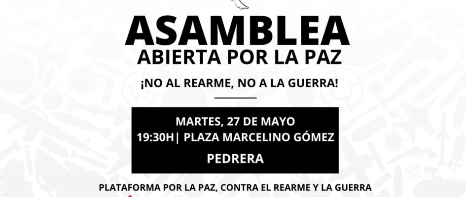 asamblea plat