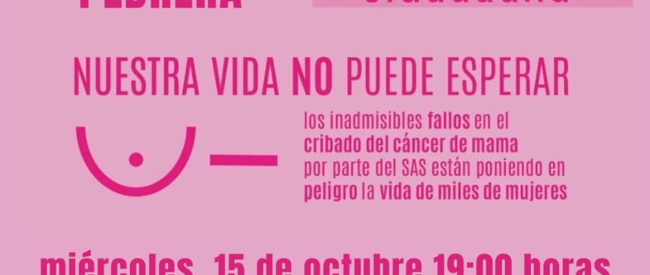 miércoles, 8 de octubre 1900 horas servicios centrales del SAS Av. de la Constitución (1)