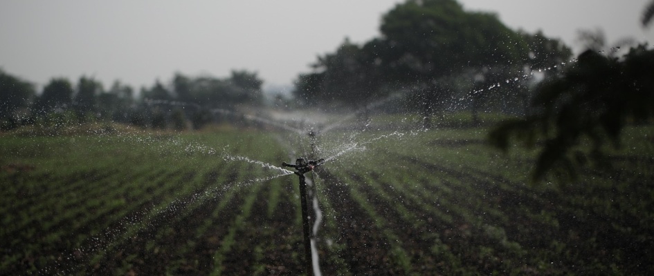 sprinkler-7064726_1280